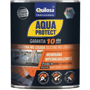 Plus de silicone liquide 5 kg. gris T003111 Quilosa