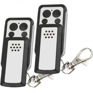 T&eacute;l&eacute;commande - 2 Boutons &agrave; clapet- Compatible avec la plupart des motorisations avidsen, Grise, Autonomie de 2 ans - 114253