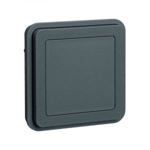 Insert de fermeture obturateur W.1 gris 42903505 - Berker