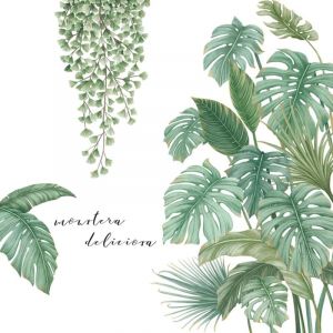 Ahlsen - Stickers Muraux Plante Tropical Autocollant, Autocollant Mural Plante Verte, Stickers Muraux Tropicaux Plante Feuille Palmier, Grand sticker