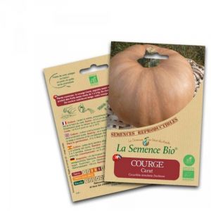 Graines Bio - Courge carat - Semence biologique