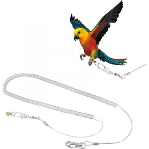 6M Oiseau Perroquet Volant Corde R&eacute;glable Anti-Morsure Volant Corde D'entra&icirc;nement Laisse Oiseaux Harnais Corde Pet Traction Ext&eacute;rieure pour Cacato&egrave;s