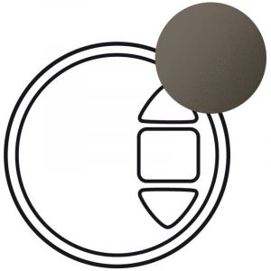 Enjoliveur C&eacute;liane pour interrupteur individuel radio RTS Somfy finition graphite (067979)