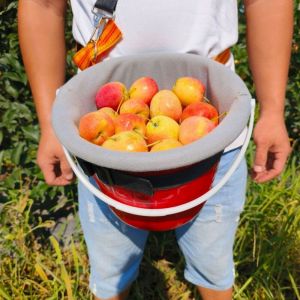 Panier De Cueillette De Fruits Portable Avec Sangle R&eacute;glable Pour R&eacute;colte Pratique De Cerises Myrtilles Et Tomates Outil De Jardinage