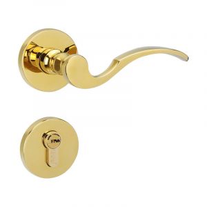 Linghhang - Poignée de porte, épaisseur de porte 35-55 mm, 1 jeu de poignées, laiton antique poli, garniture de rosace de porte de chambre,