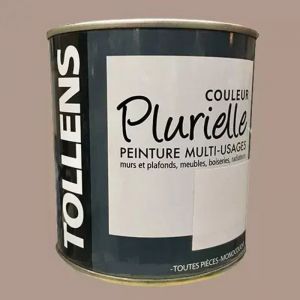 Tollens - Peinture acrylique multi-usages 'Couleur Plurielle' mat Epic&eacute;e 0,5 l