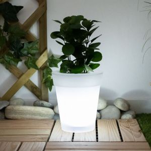 Etc-shop - Pot de fleur solaire led pot de fleur pot de fleur lumineux éclairage solaire, blanc satiné, batterie led blanc neutre, h 19 cm