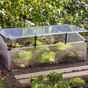 Mini serre de jardin Feronia 0,60 m&sup2; en polycarbonate 4 mm et toit ouvrant