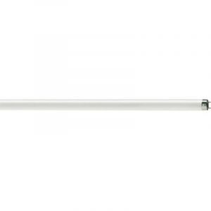 N&eacute;on T8 18W G13 1350lm 840 60cm