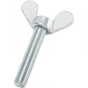 BTS - crou à oreilles din 316 gt galZn M6x40 hp (Par 100)