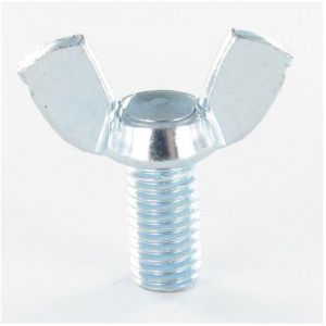 Vis Express - Vis Penture 6X25 Filetage total torx T30 Acier zingu&eacute;-200 pi&egrave;ces