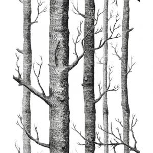 Papier peint 3d bouleau simple bois noir et blanc tissu non tiss&eacute; imitation bois papier peint tv graphique-Ensoleill&eacute;