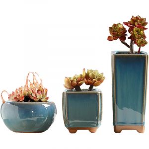Lot de 3 pots de fleurs en c&eacute;ramique &eacute;maill&eacute;e, pots &agrave; cactus, mini pots &agrave; bonsa&iuml;, pour la d&eacute;coration de la maison ou du bureau (plantes non incluses)