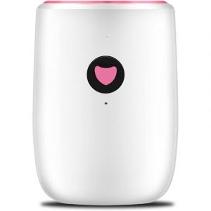 Petit d&eacute;shumidificateur domestique, mini d&eacute;shumidificateur portable, s&eacute;cheur d'air &eacute;lectrique absorbant, d&eacute;shumidificateurs d'air, absorbeur