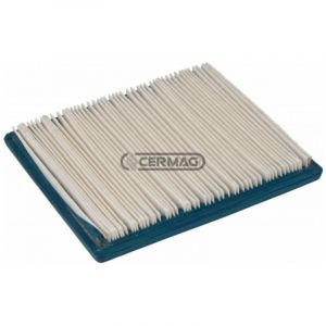 Filtre à air pour moteur BRIGGS & STRATTON VANGUARD 9 Hp - 12.5 Hp