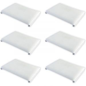6 Tampons de Déligneuse de Peinture,Tampons de Remplacement pour Coupe-Bordure,Peinture Coupe-Bordure Retouche,Pour Peinture Intérieure(12 x 9cm)