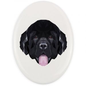 Terre-Neuve, Terre-Neuve, cascade - une tuile g&eacute;om&eacute;trique avec photo et inscription par Art-Dog