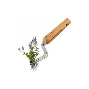 19.5x4.5cm D&eacute;sherbeur Manuel Extracteur Mauvaises Herbes Sarcleur avec Mesure e Manche en Bois Couteau D&eacute;sherbeurOutil de D&eacute;sherbage DesherbantWeeder