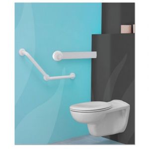 Crochet d'ardoise pointe 10x2,7mm inox 17% en boite de 700 - FRENEHARD - QAFAP1067/7