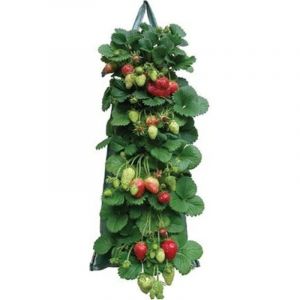 Sacs Plantation Fraisiers Aromatiques,Plant Grow Bag pe Pocket Plantation Sacs Légumes pour Les Fraises Herbes Fleur Pomme Terre Carotte Tomate