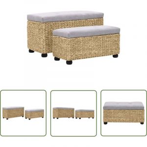 The Living Store - Ensemble de banc lot de 2 Jacinthe d'eau Gris - Banc Coffre - Banc Int&eacute;rieur - Meuble Rangement - Mobilier Salle &agrave; Manger