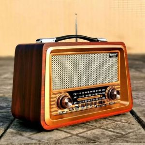 Radio Portable, Radio Vintage Bluetooth FM/AM/(MW)/SW, Design en Bois Classique Retro Radio Bluetooth, Poste Radio Vintage Prise en