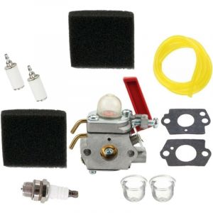 Carburateur pour tondeuse &agrave; gazon Homelite B25C BC2500R D725CD D825SB F2020 F3040 F3050 Kit carburateur Carburateur Accessoires carburateur