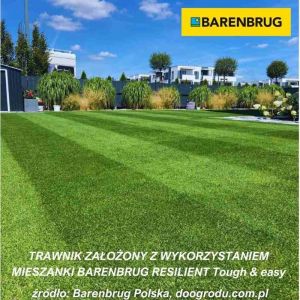 Gazon Barenbrug RÉSILIENT Résistant et facile 15 kg MÉLANGE ROBOT EXTRÊMEMENT FORT