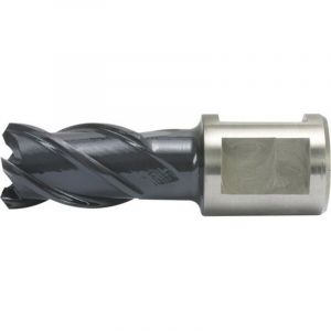 Fraise &agrave; carotter, acier &agrave; coupe rapide Co, &agrave; rev&ecirc;tement RQX, profondeur de coupe de 25 mm, &Oslash; de foret : 27 mm
