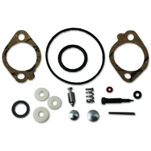 Kit de révision carburateur moteur Briggs&stratton Quantum 5 cv