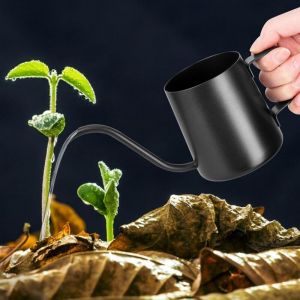 Arrosoir noir 250 ml - petit arrosoir pour plantes d'int&eacute;rieur - arrosoir &agrave; long bec en acier inoxydable - arrosoir de jardin pour plantes