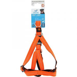 Harnais flash m-l - Fidelami