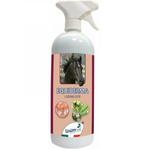 Adjuvant &eacute;quidermal pour les dermatites, mycoses, plaies et infections cutan&eacute;es 1000 ml