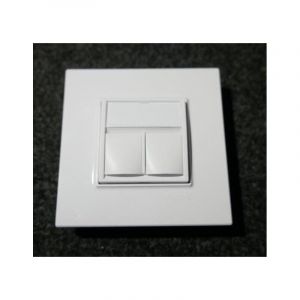 Prise double RJ45 cat 6A stp blind&eacute;e blanc polaire p-e avec support et plaque s-one altira schneider