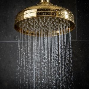 Douche de t&ecirc;te PaulGurkes en or r&eacute;tro nostalgique, pomme de douche 20 cm