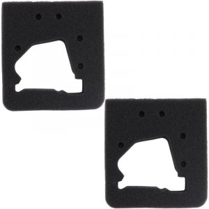 Coocheer - Pack de 2 éléments de filtre à Air 17211-ZM3-800 pour Honda GX22 GX31 gx 22 gx 31 moteur FG100 motoculteur