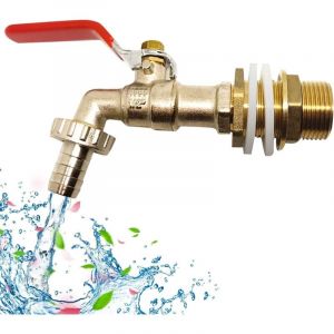 Récupérateur d'Eau De Pluie 1000L Avec Robinet 1/2' (13 Mm) - Adaptateur De Réservoir De Vidange IBC En Laiton (1PCS)