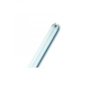 N&eacute;on Osram Nl-T8 51W/840