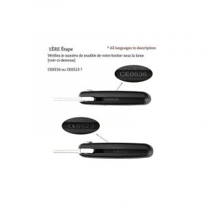 2 Boutons, CE0536) 2 Boutons Coque Clé Compatible CE0536 clé à Rabat Pliable pour Peugeot 207 307 308 407 408 3008 5008 Citroen C2 C3 C4 C5 C6 C8