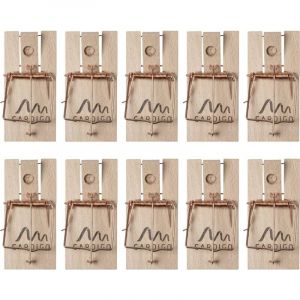 Gardigo - Pi&egrave;ge &agrave; souris Holz Schlagfalle 10 pc(s) W957833