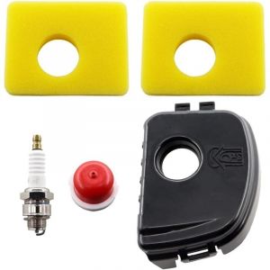 Couvercle de filtre à air avec filtre compatible pour Briggs & Stratton séries 300e, 450e, 550e - Références 595660, 594281, 799579, 5434, 4248,
