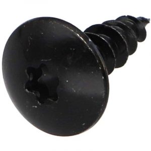 Vis Penture 6X25 Filetage total TORX T30 Acier zingu&eacute; noir-10 pi&egrave;ces