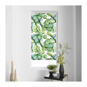 Store Enrouleur Tamisant 'Naopi' 60x90cm Vert