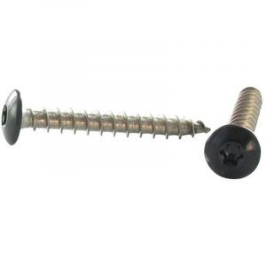Vis Express - Vis Penture 6X25 Filetage total torx T30 Inox A2 Laqu&eacute; noir RAL9005 noir fonc&eacute;-30 pi&egrave;ces