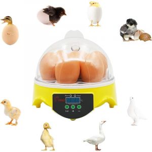 Couveuse à Oeufs 7 Oeufs Incubateur Contrôle de la Température de la Couveuse à Poussins avec écran Digital LED Couveuse pour Poulets, Cailles,