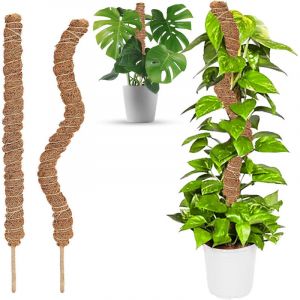 2PCS Tuteur Plante Pliable, 60 cm Long Plante Tuteur Coco Support pour Plante Grimpante, Grimpante Support pour Plante Monstera