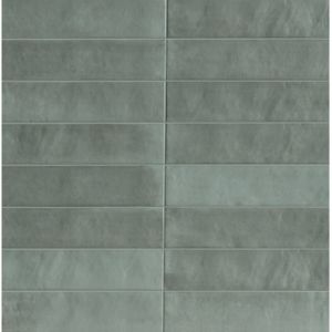 Carrelage mural en grès cérame émaillé PASEO 23x5.7 cm Green - - boîte de m2