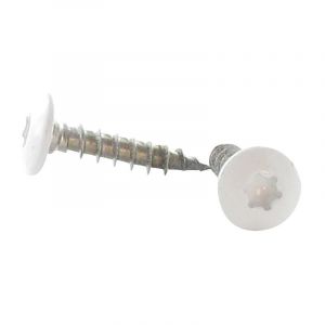 Vis Penture 7X50 Filetée sur 38 torx T30 Inox A2 RAL9016 blanc signalisation 80%BRILL Conditionnement: 1 pièce