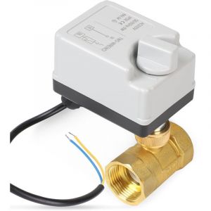 Vanne Motorisee 2 Voies avec Fonction Manuelle, DN25 1 de Pouce AC220V Vanne de Zone Laiton
