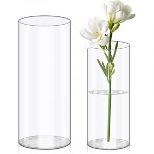 Vases &agrave; Fleurs en Acrylique Transparent, 20x10 und 25x12cm Vase cylindrique en Plastique incassable pour Arrangements Floraux, centres de Table de